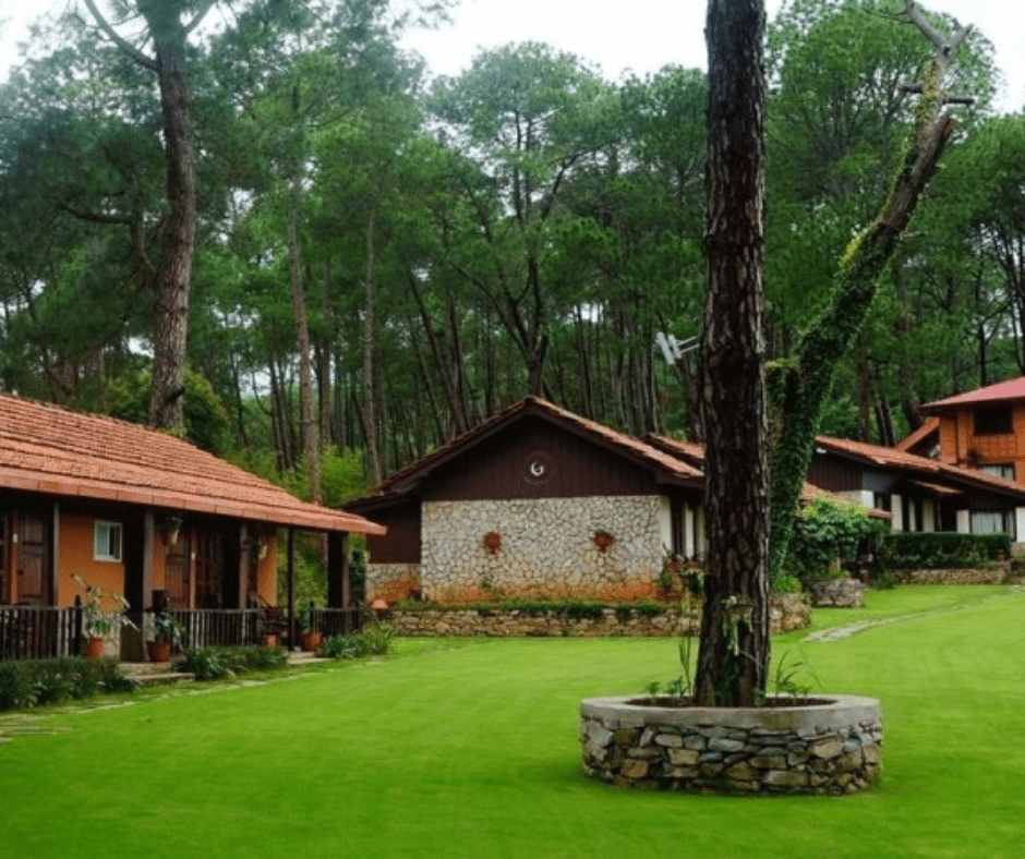 Himalayan Height Resort Yoga Retreat