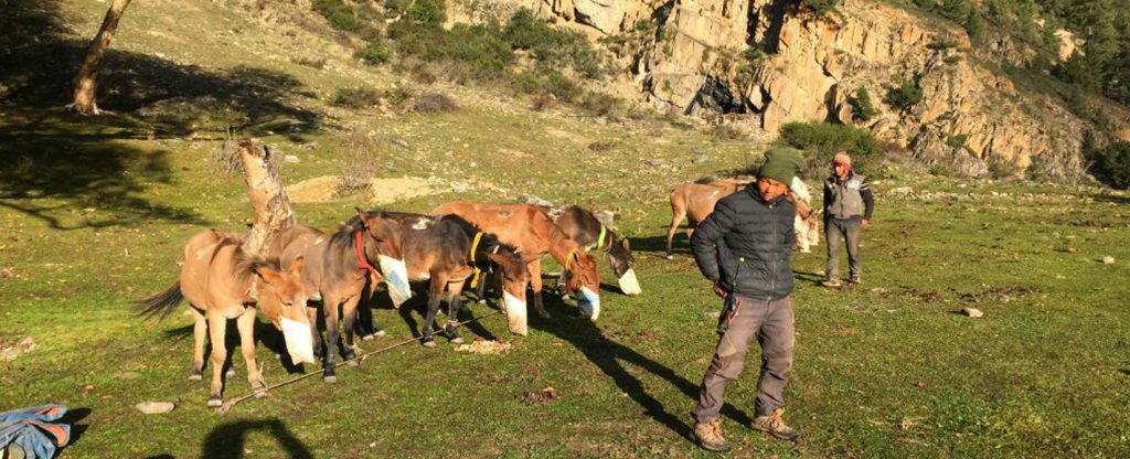 Environmental awareness in the Himalayas