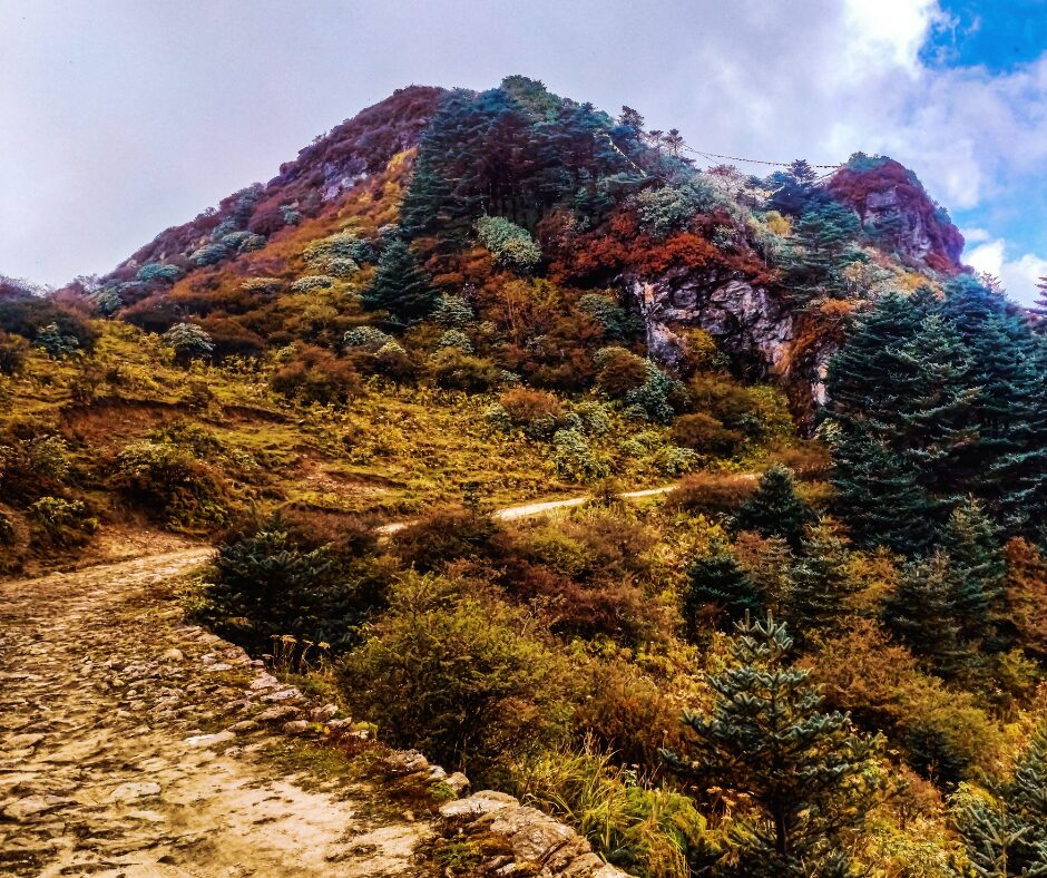 Sandakphu trail