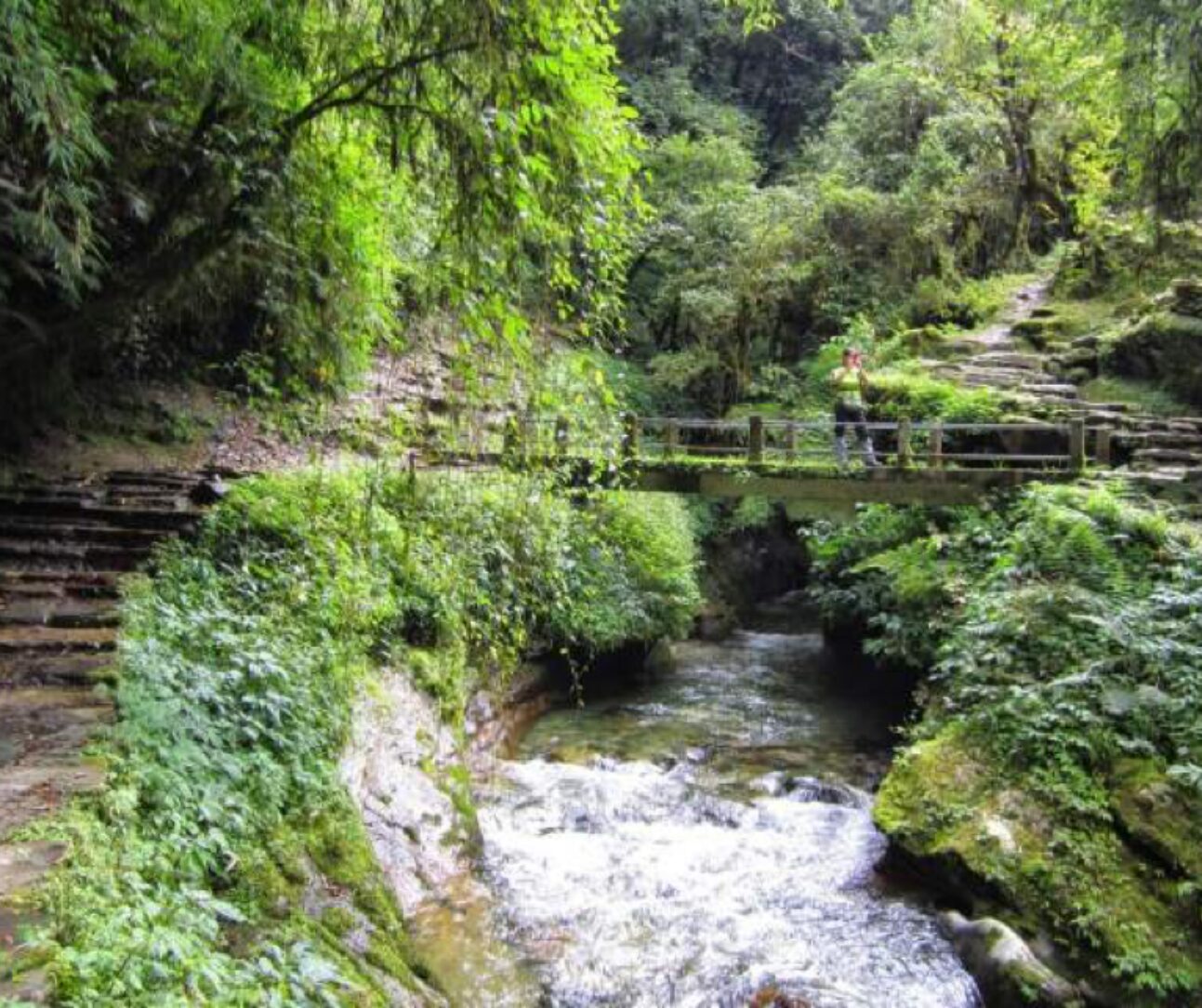 off the beaten paths through lush forests