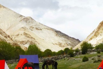 Zanskar Trekking Ladakh
