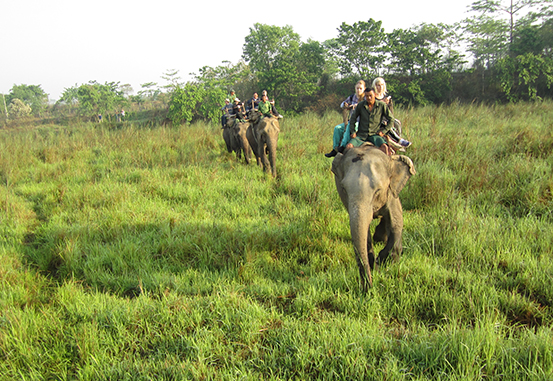 Chitwan National Park