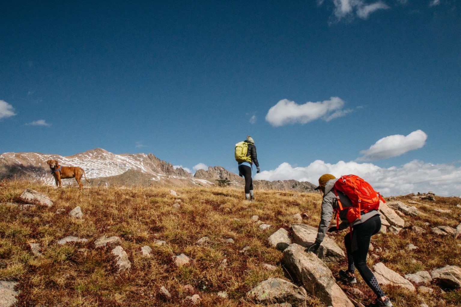 a group of people on a rocky hill