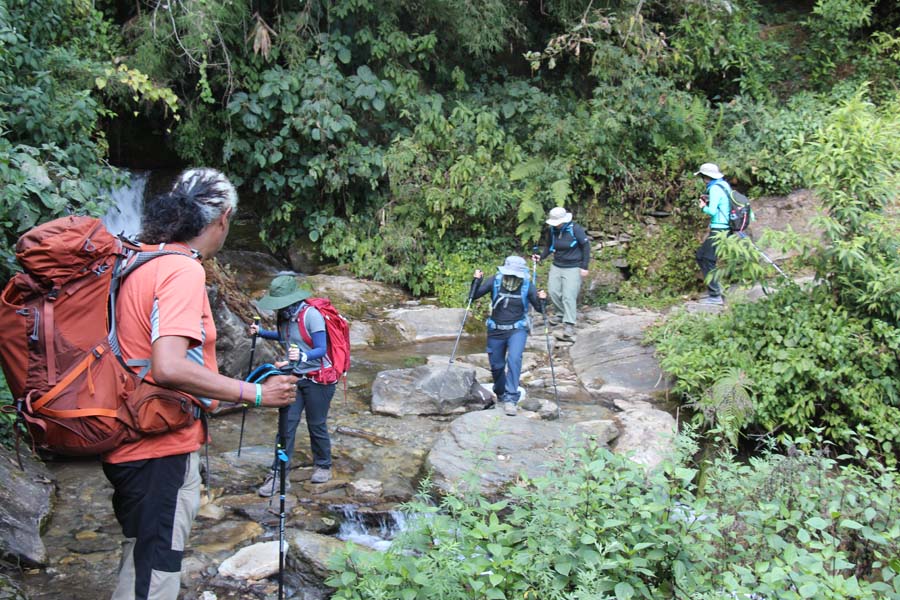 Group trek in Nepal