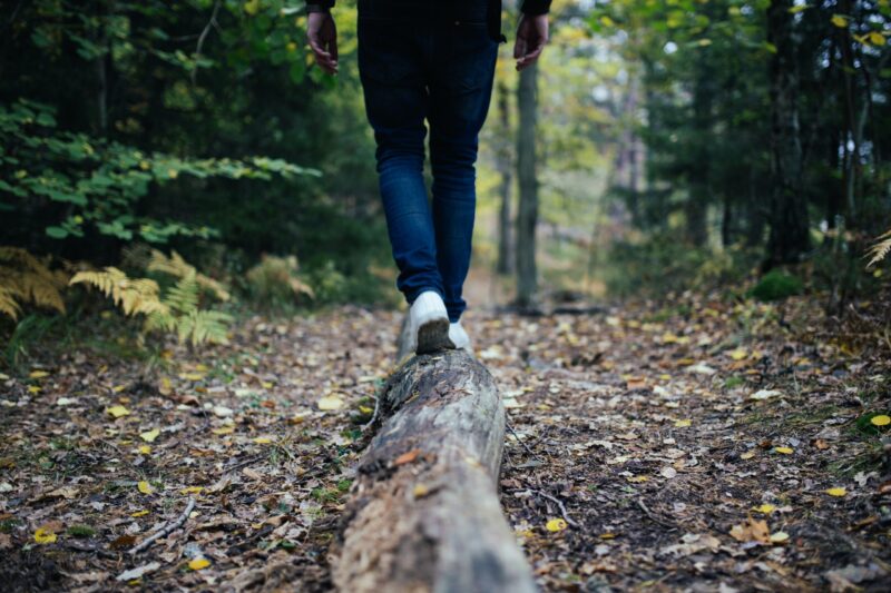 a person standing next to a forest